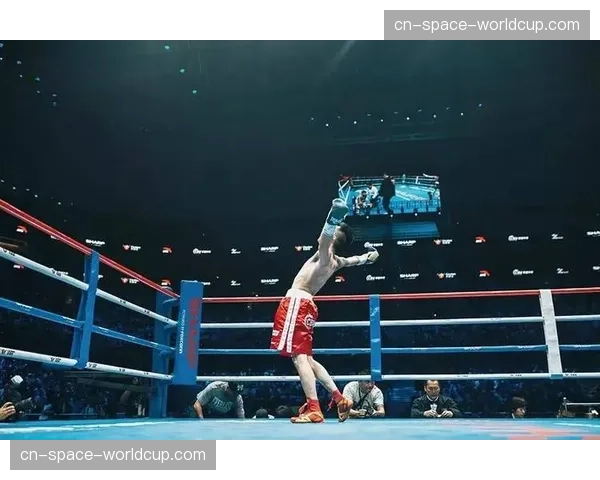 女子拳击市场持续增长，泰勒vs.塞拉诺三番战门票售罄